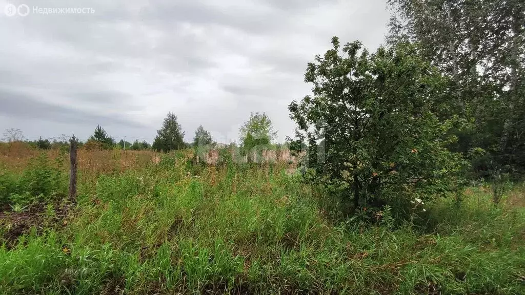 Участок в Заводоуковск, СОТ Колос (15 м) - Фото 2