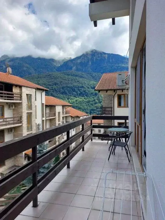 1-к кв. Краснодарский край, Сочи Красная Поляна пгт, ул. Калиновая, ... - Фото 1