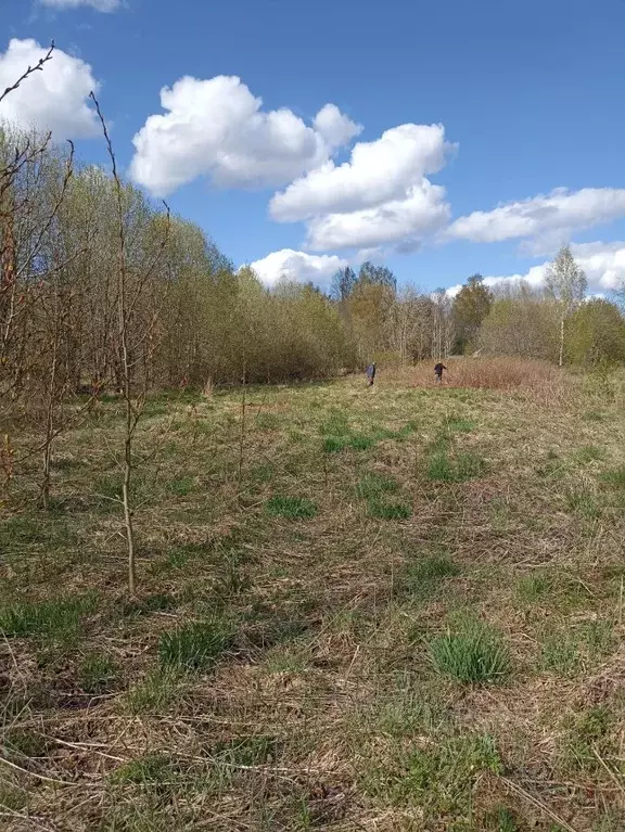 Участок в Ленинградская область, Приозерский район, Красноозерное ... - Фото 1