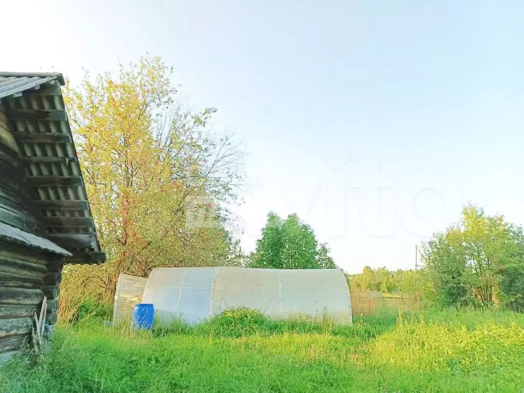 Дом 33 м на участке 36 сот. - Фото 1