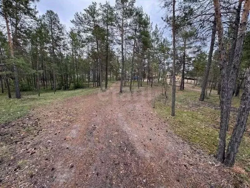 Участок в Саха (Якутия), Мегино-Кангаласский улус, Нижний Бестях пгт  ... - Фото 1