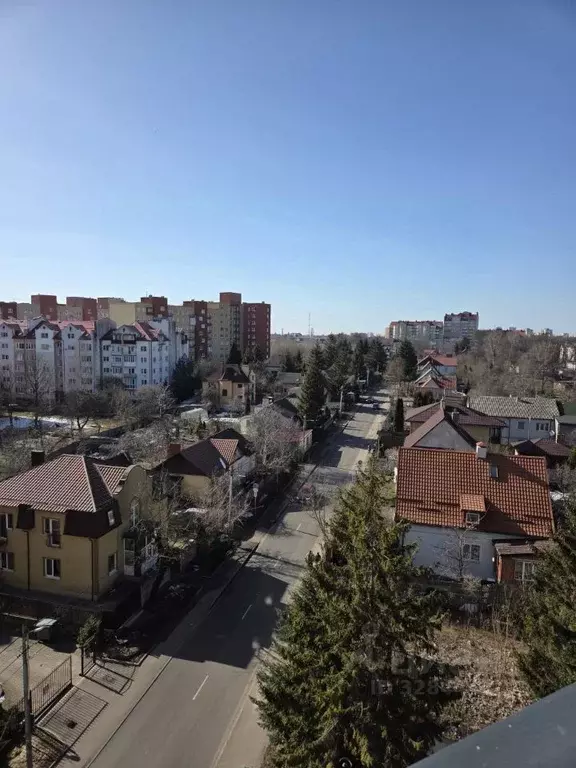 2-к кв. Калининградская область, Калининград ул. Старшины Дадаева, ... - Фото 1