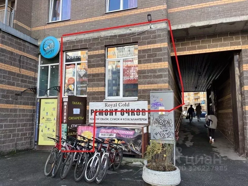 Помещение свободного назначения в Ленинградская область, Мурино ... - Фото 1