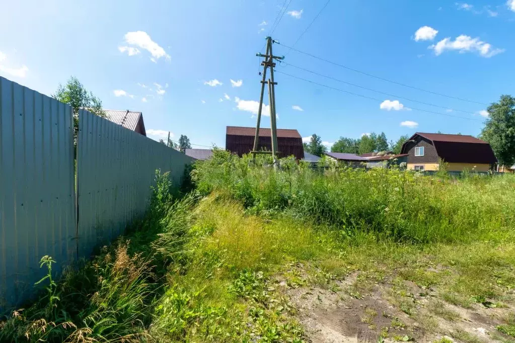 Участок в Тюменская область, Тюмень Березняки СНТ, ул. Васильковая, ... - Фото 1