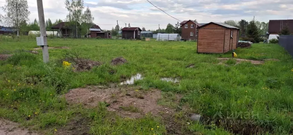 Участок в Ленинградская область, Лужский район, Толмачевское городское ... - Фото 1