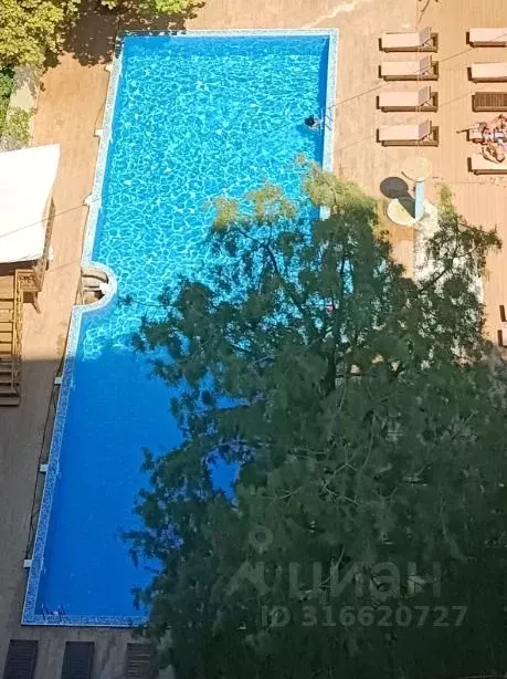 1-к кв. Краснодарский край, Сочи ул. Ленина, 219/6Б (45.0 м) - Фото 0
