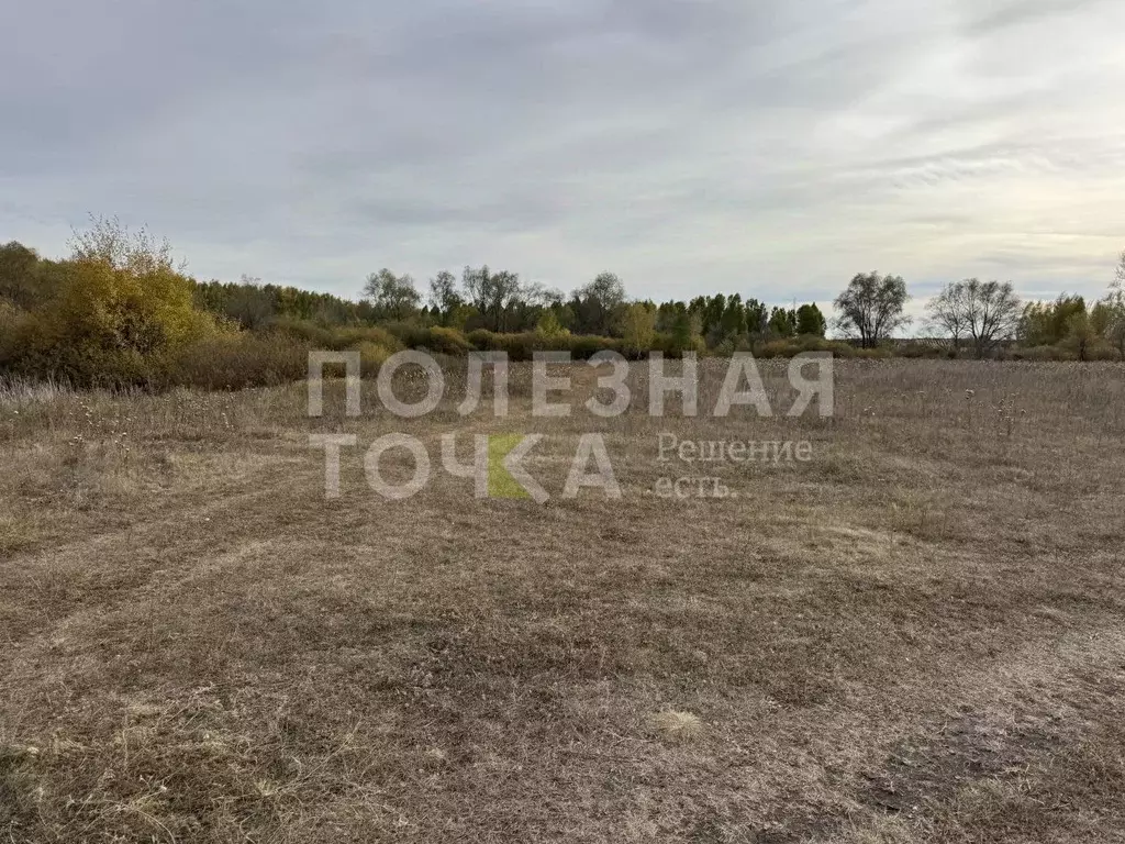 Участок в Самарская область, Кинель  (13.0 сот.) - Фото 2