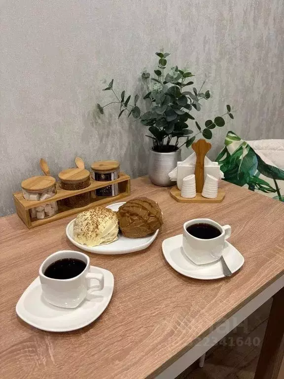 1-к кв. Новосибирская область, Новосибирск Красный просп., 167к3 (31.0 ... - Фото 2