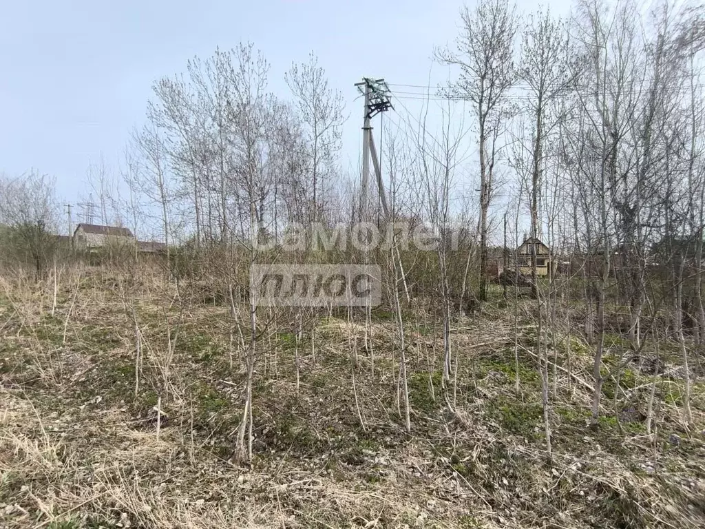 Участок в Томская область, Томск ул. Рассветная, 41 (9.6 сот.) - Фото 2