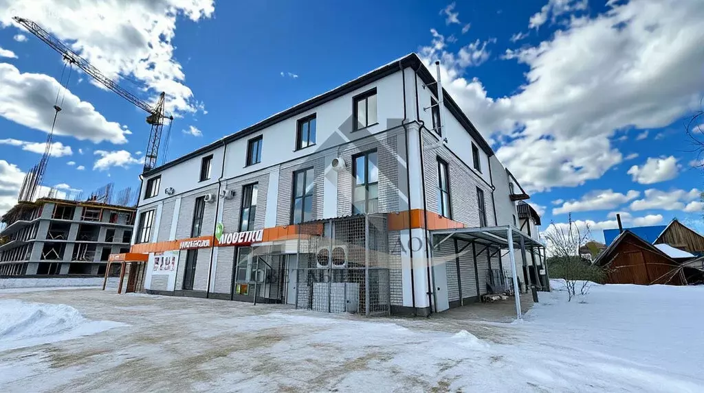 Помещение свободного назначения (256.8 м) - Фото 2