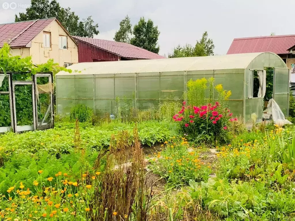 Участок в Южно-Сахалинск, СНТ Айболит-86, Сиреневая улица (6.5 м) - Фото 2