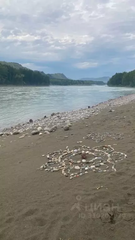 Участок в Алтай, Майминский район, Соузгинское с/пос, пос. Турбаза ... - Фото 0