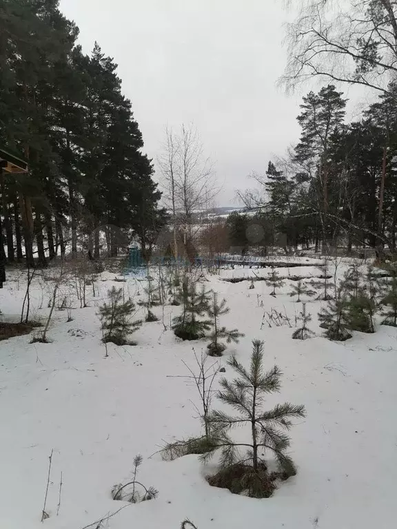 Участок 30 сот. (личное подсобное хозяйство (ЛПХ)) - Фото 0