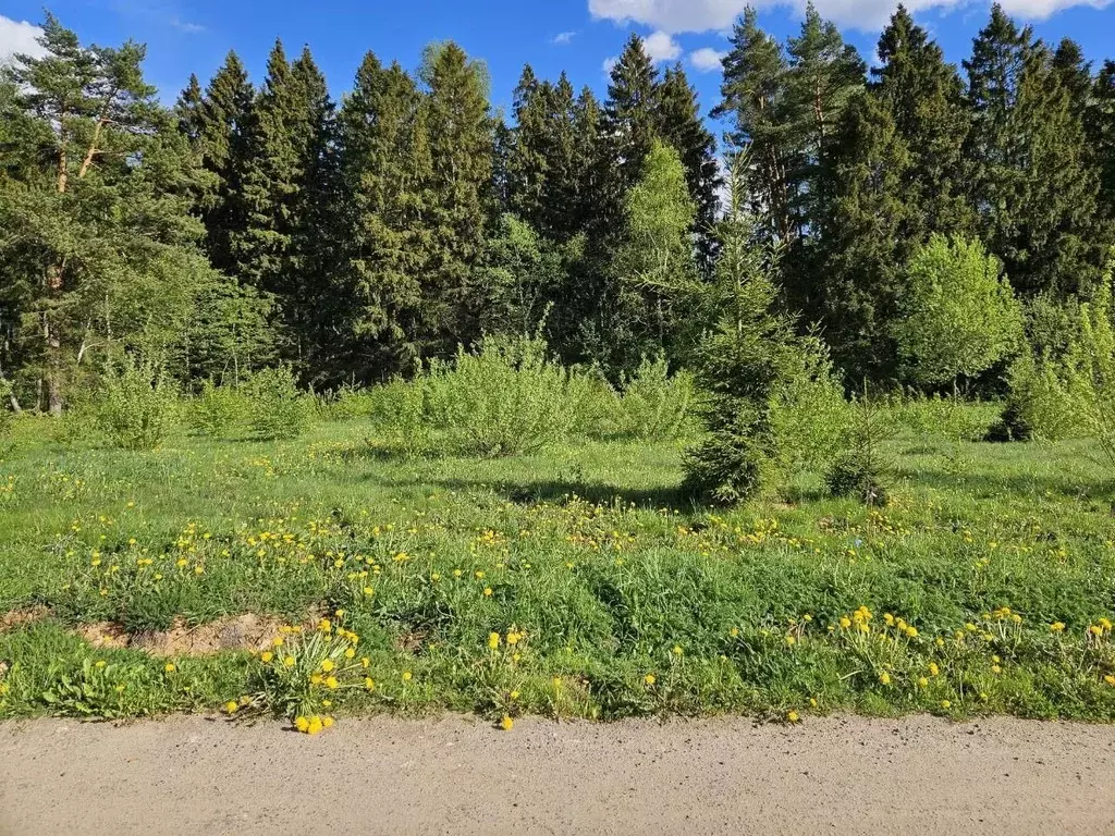 Участок в Московская область, Химки Подрезково мкр,  (10.3 сот.) - Фото 1