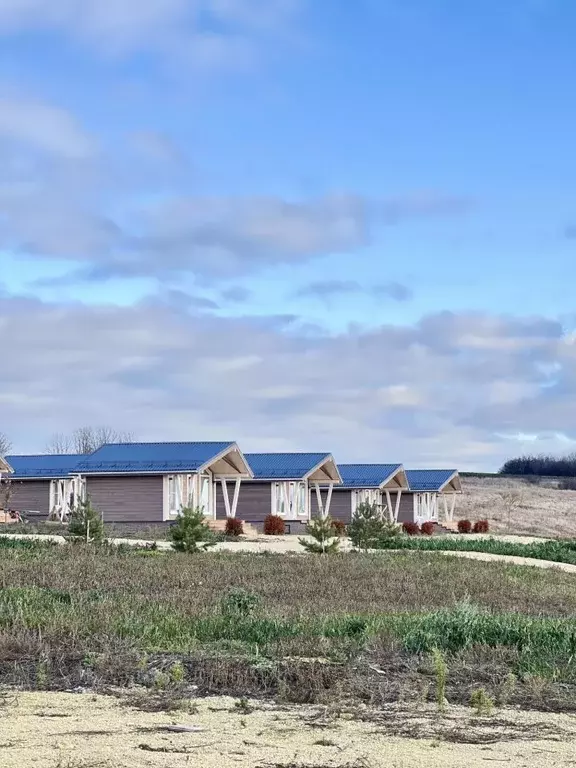 Дом в Орловская область, Новодеревеньковский район, с. Старогольское  ... - Фото 1