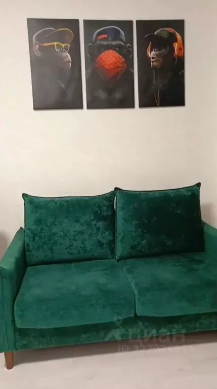 Студия Санкт-Петербург аллея Арцеуловская, 19 (25.0 м) - Фото 2