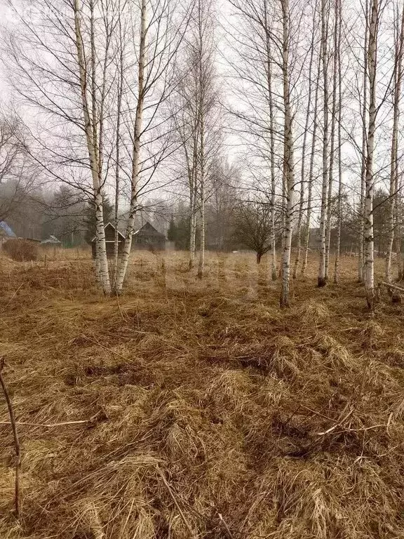 Дом в Будогощское городское поселение, массив Капустино (49.4 м) - Фото 1