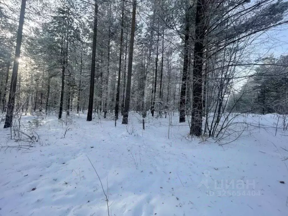Участок в Иркутская область, Иркутский муниципальный округ, пос. Падь ... - Фото 1