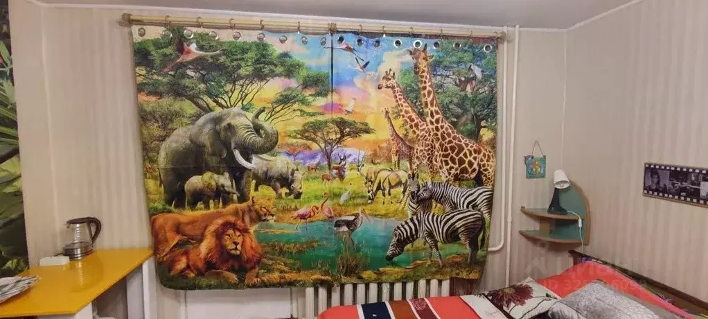 Комната Калининградская область, Калининград ул. Маршала Баграмяна, 28 ... - Фото 1