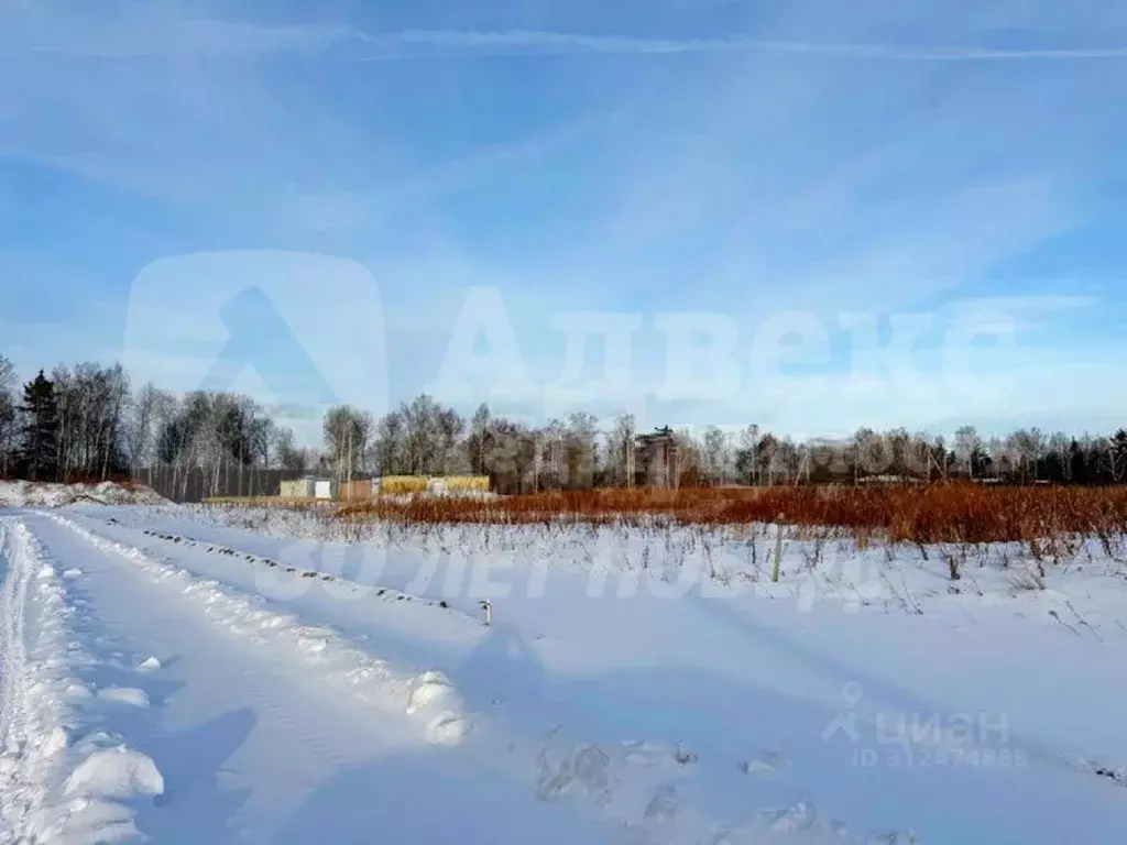 Участок в Тюменская область, Тюменский район, с. Каменка  (10.0 сот.) - Фото 1