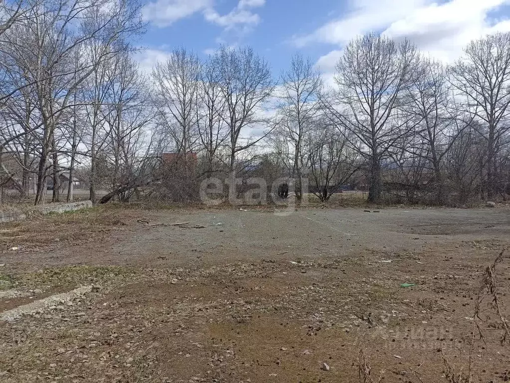 Помещение свободного назначения в Камчатский край, Елизово Пограничный ... - Фото 2