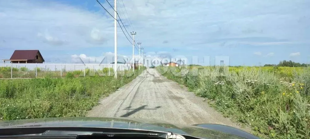 Участок в Новосибирская область, Мошковский район, Барлакский ... - Фото 0