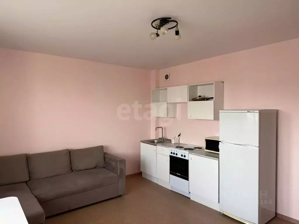 Студия Тюменская область, Тюмень Кремлевская ул., 112к4 (26.3 м) - Фото 2