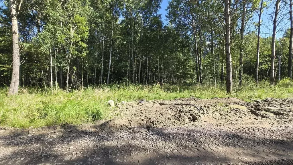 Участок в Санкт-Петербург, Санкт-Петербург, Павловск  (7.61 сот.) - Фото 1