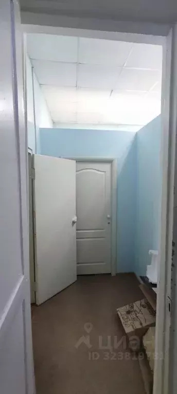 Помещение свободного назначения в Пермский край, Усолье Усольский ... - Фото 1