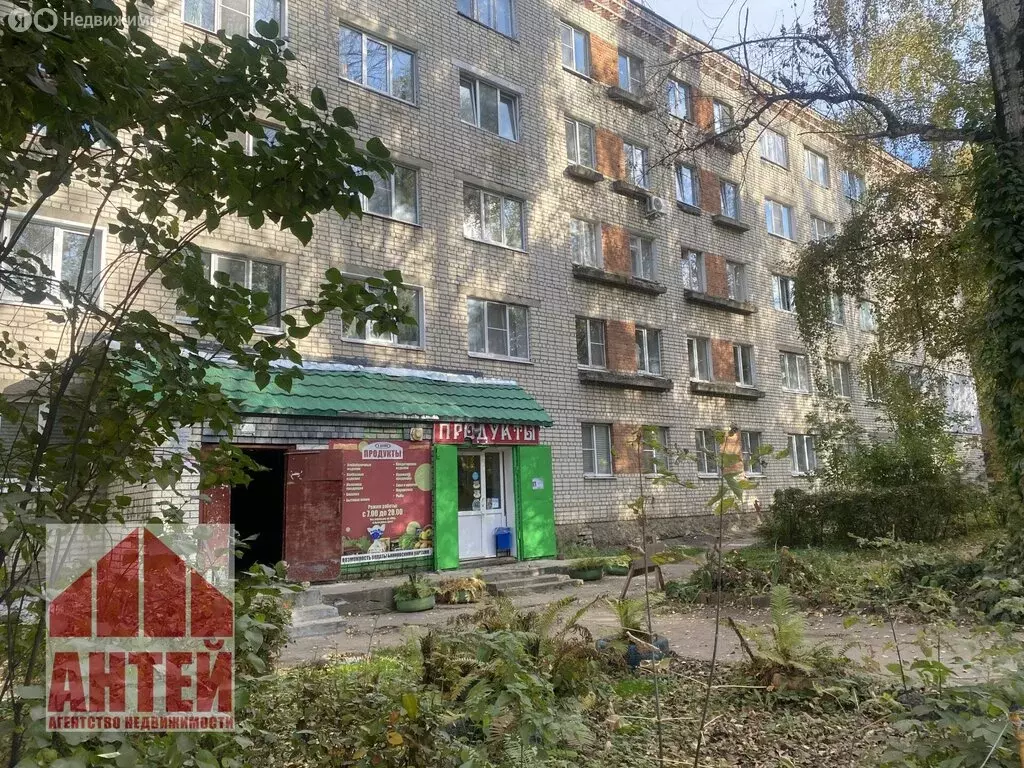 1-комнатная квартира: Павлово, Советская улица, 29 (23.3 м) - Фото 0