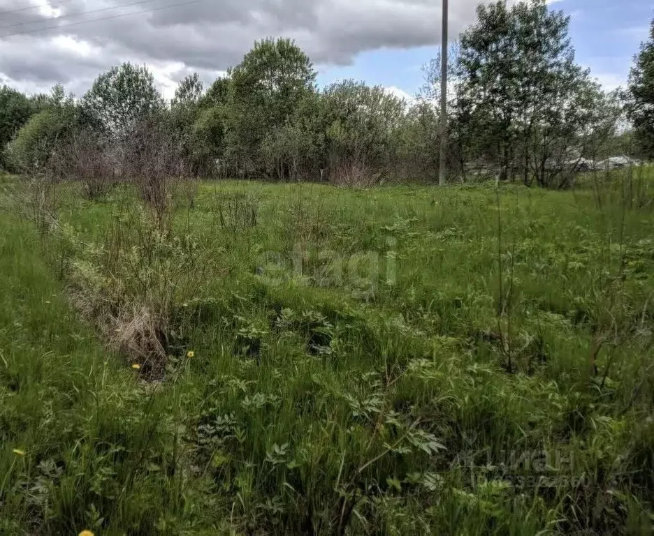 Участок в Калужская область, Малоярославец Рассветная ул. (14.15 сот.) - Фото 2