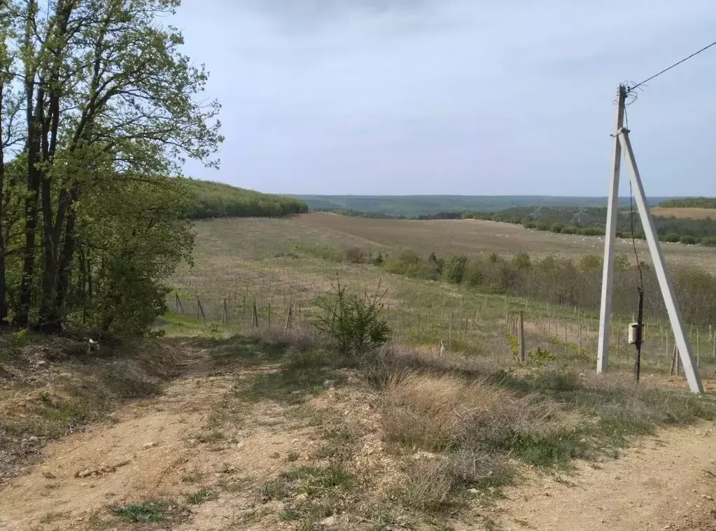 Участок в Севастополь с. Верхнесадовое, ул. Севастопольская (3.5 сот.) - Фото 0