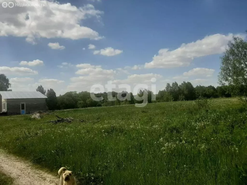 Участок в муниципальное образование Воскресенское, деревня Бредихино ... - Фото 0