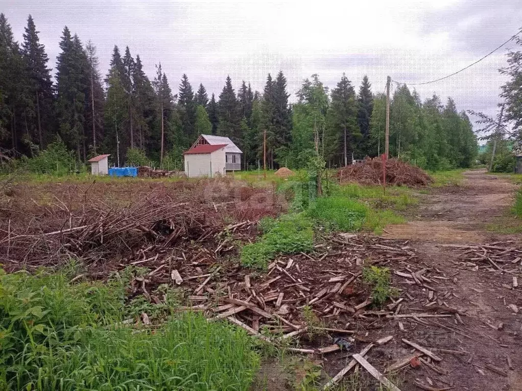 Участок в Коми, Сыктывкар городской округ, Краснозатонский пгт ул. ... - Фото 1