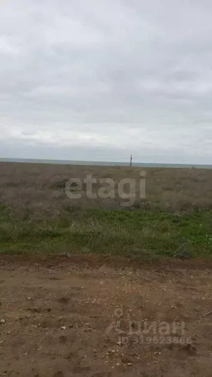 Участок в Крым, Раздольненский район, Славновское с/пос, Отдых СНТ  ... - Фото 0