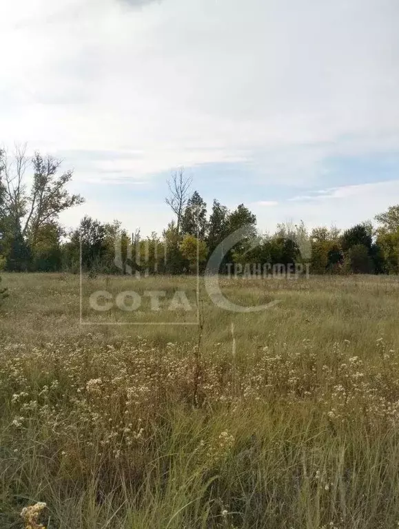 Участок в Воронежская область, Воронеж проезд Сельский (8.0 сот.) - Фото 1