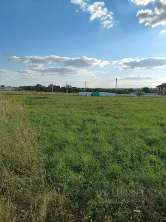 Участок в Курская область, Курский район, Новопоселеновский сельсовет, ... - Фото 1