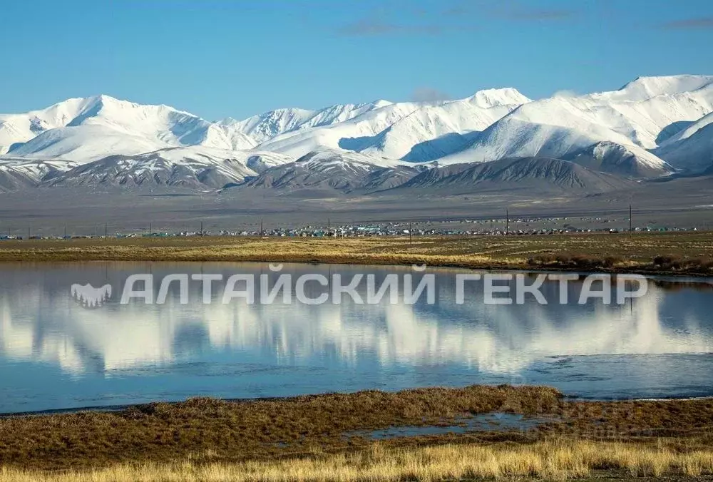 Участок в Алтай, Кош-Агачский район, с. Кош-Агач ул. Имени А.К. ... - Фото 0