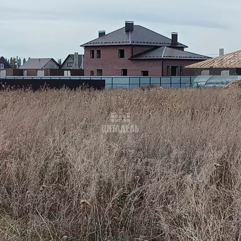 Участок в Воронежская область, Лискинский район, Высокинское с/пос, с. ... - Фото 1