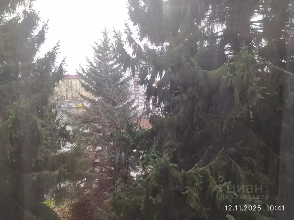 Офис в Московская область, Раменское ул. Карла Маркса, 5с3 (20 м) - Фото 2