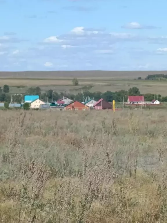 Участок в Оренбургская область, Оренбургский район, Пугачевский ... - Фото 1