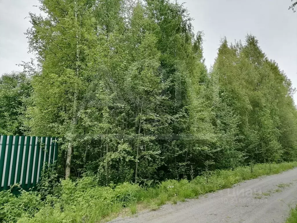 Участок в Ленинградская область, Приозерский район, Ларионовское ... - Фото 0