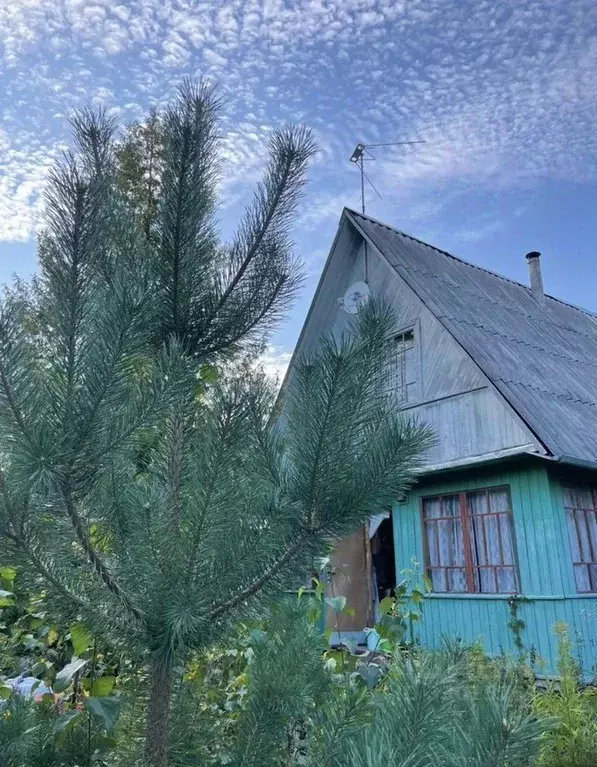 Дом в Ленинградская область, Лужский район, Мшинское с/пос, Дивенская ... - Фото 1