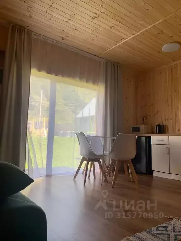Дом в Алтай, Чемальский район, с. Чемал ул. Энтузиастов, 57 (25 м) - Фото 0