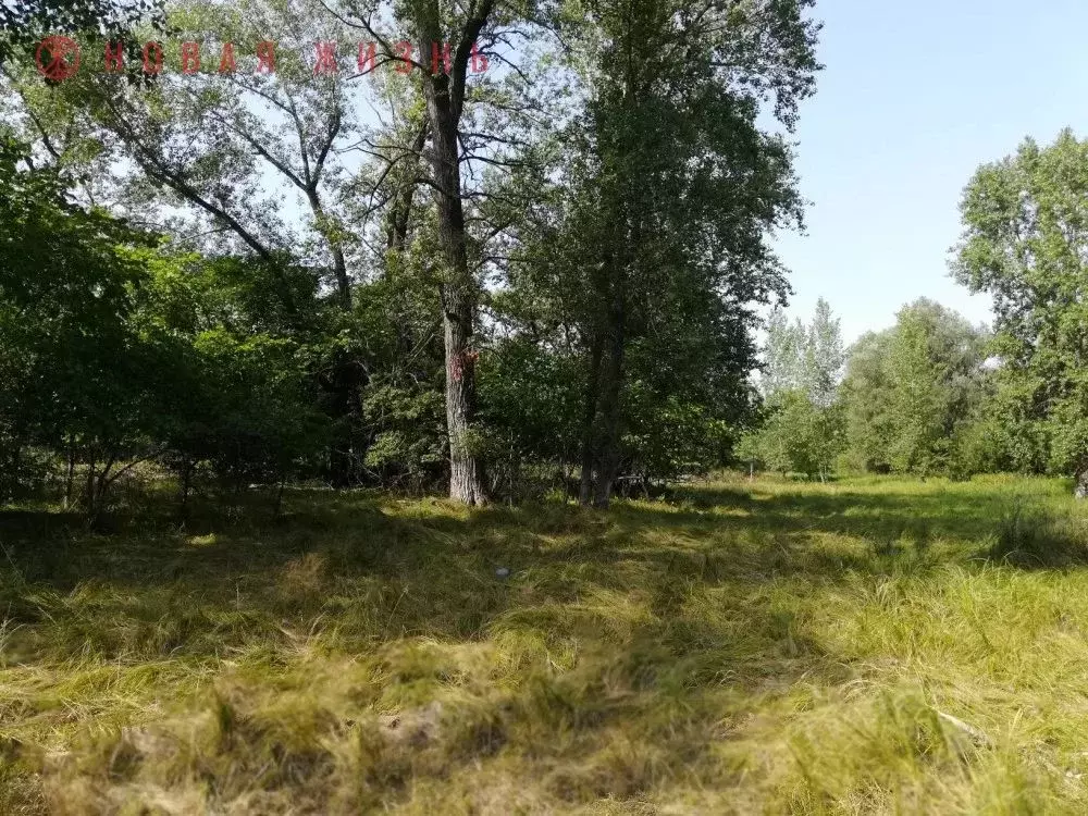 Участок в Самарская область, Самара Старая Жила СДТ,  (14.0 сот.) - Фото 2