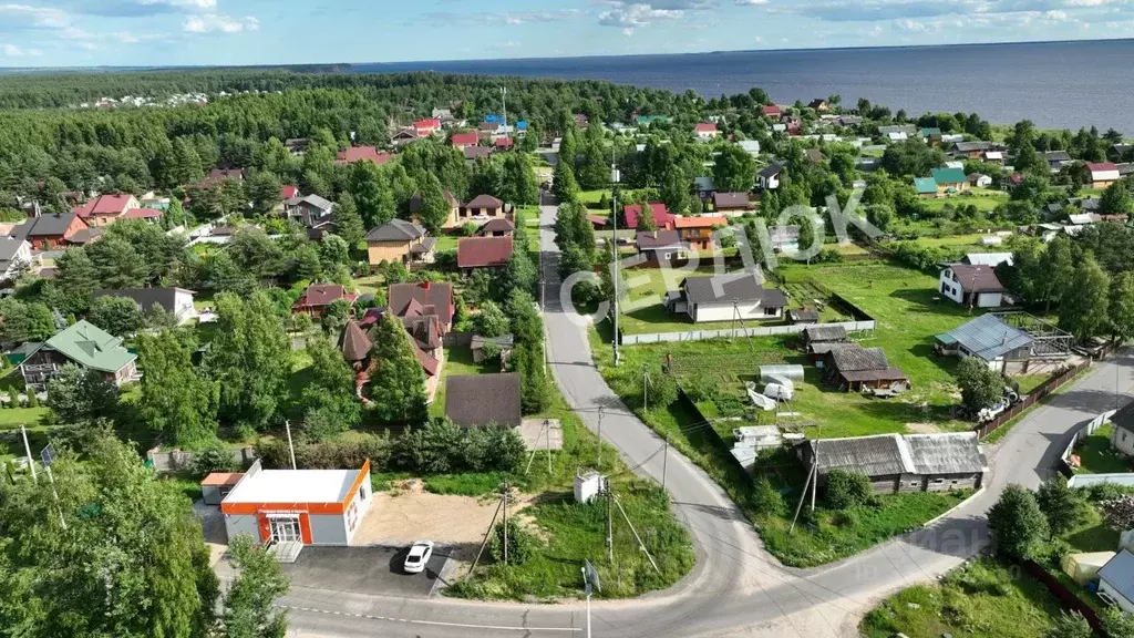 Помещение свободного назначения в Вологодская область, Череповецкий ... - Фото 2