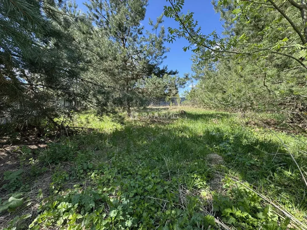 Продается участок в СНТ Деулино - Фото 1