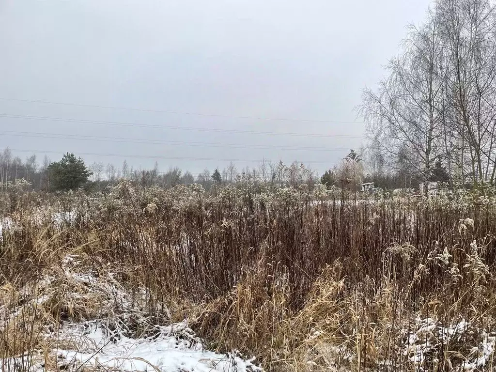 Участок в Московская область, Павлово-Посадский городской округ, д. ... - Фото 1