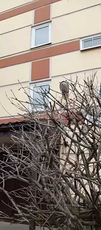 3-к кв. Санкт-Петербург Школьная ул., 112 (69.0 м) - Фото 1