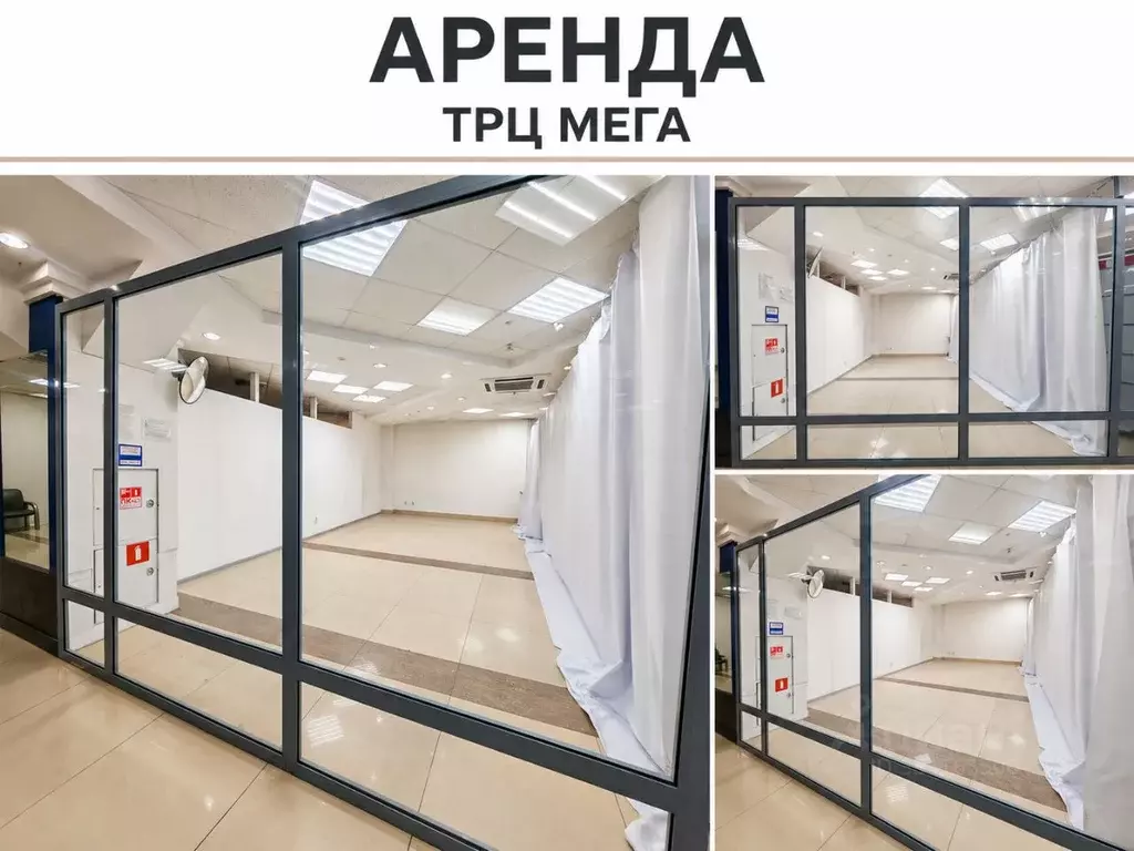 Торговая площадь в Амурская область, Благовещенск ул. 50 лет Октября, ... - Фото 1